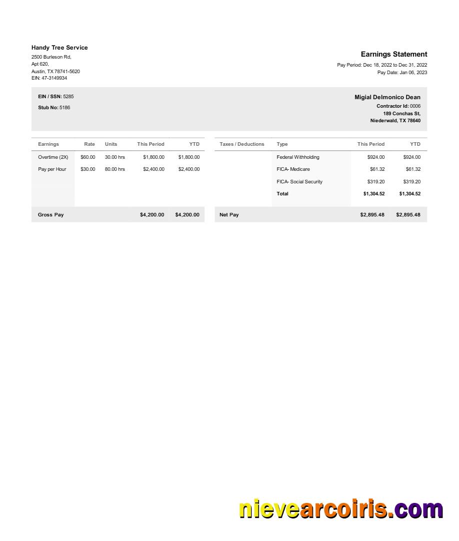 Handy Tree Service earnings statement
